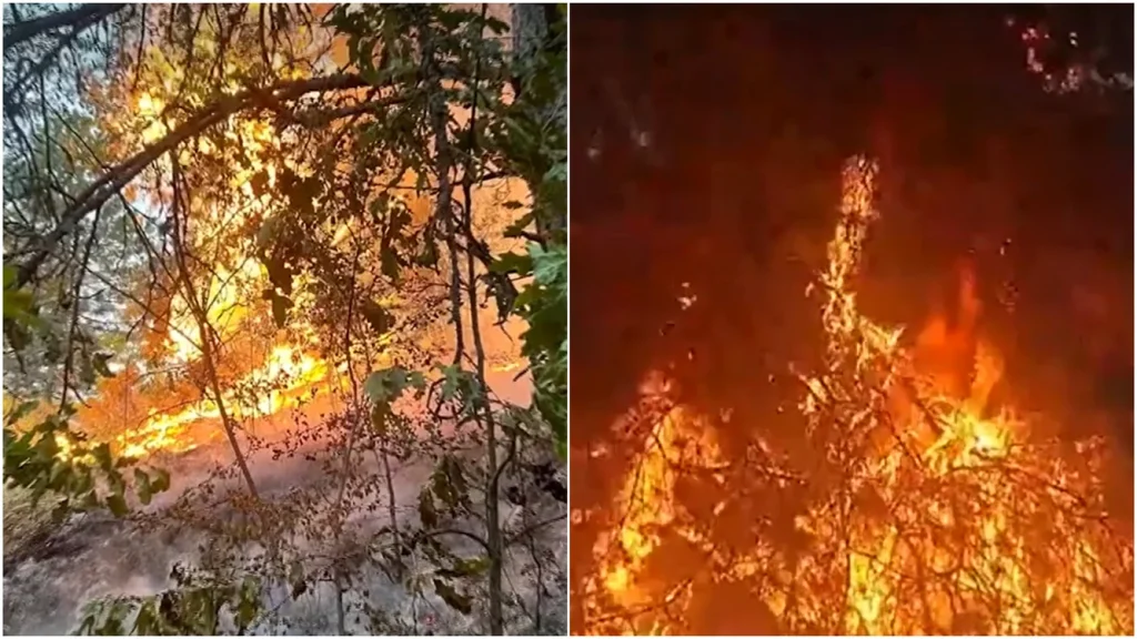 incendiu-Hunedoara