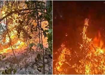 incendiu-Hunedoara