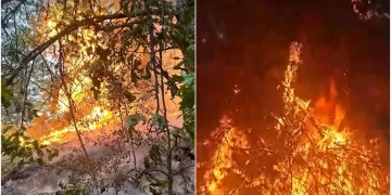 incendiu-Hunedoara